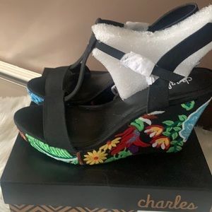 Brand New Charles by Charles David Wedge